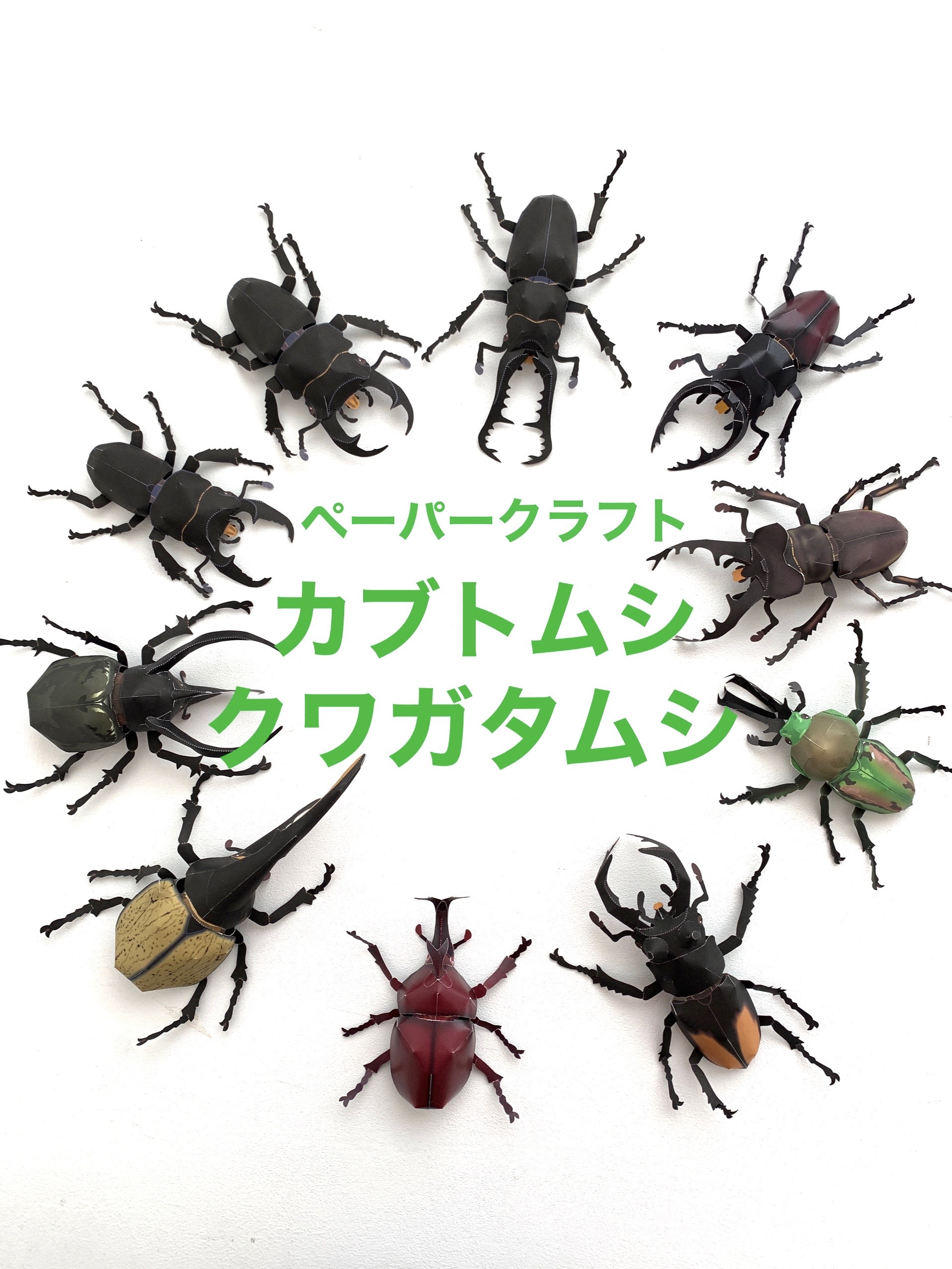 ペーパークラフトブック カブトムシクワガタムシ予約特典付き通販 Keicraft